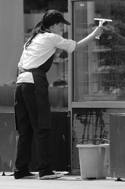 Window Washing